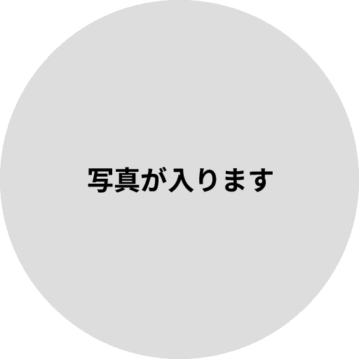 ダミー画像